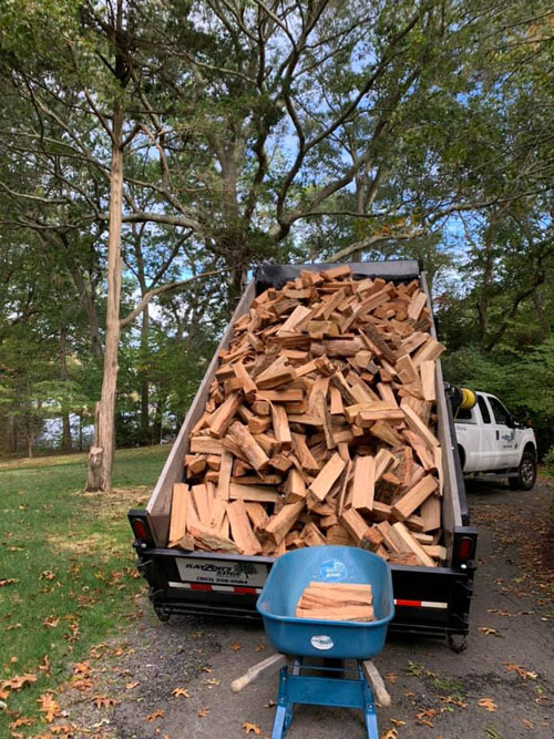 Turning Trees Into Firewood A Tree S Journey From Removal To Kiln Dried Firewood Rayzor S Edge Tree Service